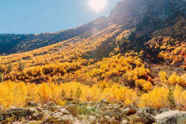 Rocky dağları ve Avrupa 'da güneşli sonbahar ormanı. Dağ manzarası