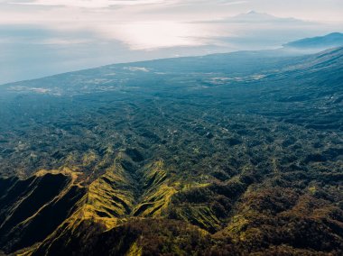 Bali 'deki ormanlı dağ manzarası