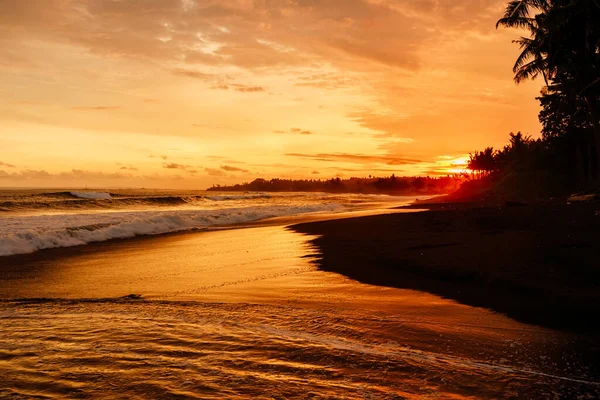 Fényes Naplemente Vagy Napkelte Óceáni Hullámokkal Kókuszpálmákkal Trópusi Tengerparton — Stock Fotó