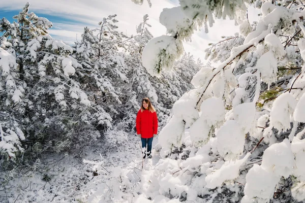 Utazó Piros Kabátban Áll Havas Fák Között Téli Erdőben — Stock Fotó