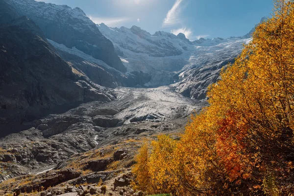 Montagnes Rocheuses Glacier Pic Glacier Montagne Glace — Photo