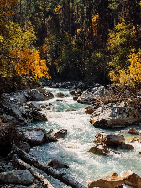 Fiume Montagna Nella Foresta Selvaggia Paesaggio Alta Montagna Con Fiume — Foto Stock