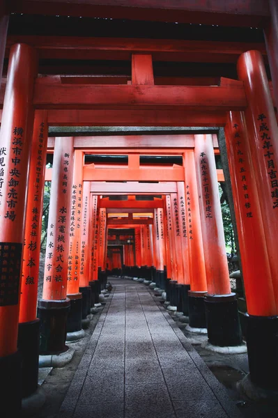 Kyoto Japonya 2016 Kasım Fushimi Inari Türbesindeki Kırmızı Torii Sütunları — Stok fotoğraf