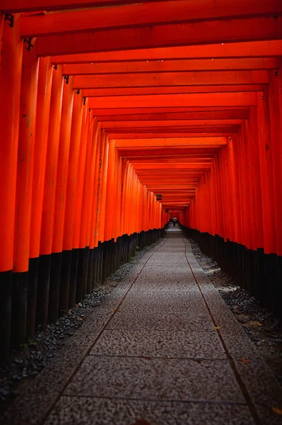 Japonya Nın Kyoto Kentindeki Fushimi Inari Tapınağı Nda Binlerce Kırmızı — Stok fotoğraf