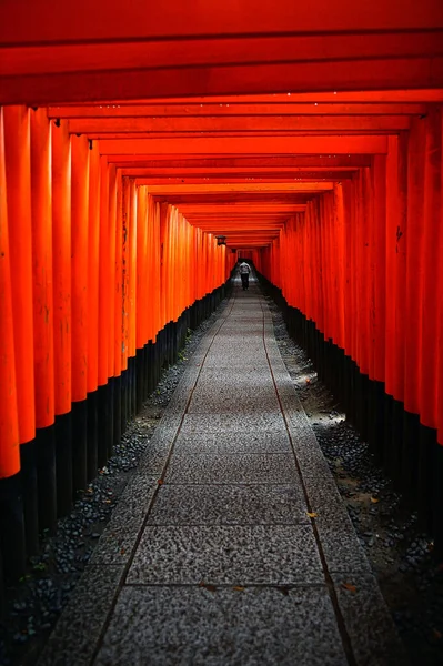 Japonya Nın Kyoto Kentindeki Fushimi Inari Tapınağı Nda Binlerce Kırmızı — Stok fotoğraf