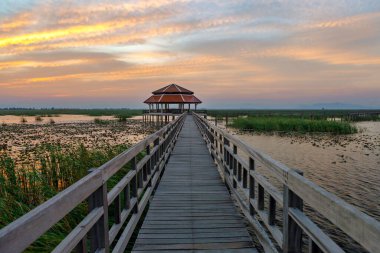 Tahta yol, Sam Roi Yot Ulusal Parkı 'ndaki nilüfer havuzundaki kırmızı pavyona çıkıyor. Akşamları Tayland 'ın Khiri Khan ilinde gökyüzü alacakaranlıktır..