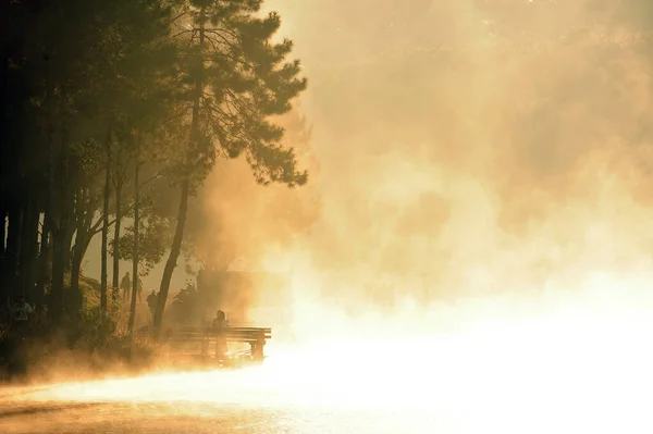 Πεύκο Δάσος Στην Κοιλάδα Και Νερό Στο Pang Ung Reservoir — Φωτογραφία Αρχείου