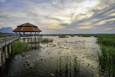 Nilüfer göleti Sam Roi Yot Milli Parkı 'nda Akşamları alacakaranlık gökyüzü Pratik Khiri Khan Tayland vilayetinde.