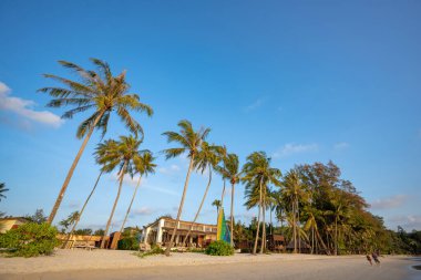 Plaj manzaraları, plajlar ve hindistan cevizi ağaçları akşamları turistlerdir, Koh Kood, Tayland 'da gökyüzü mavisidir. Seyahat ve tatil konsepti.