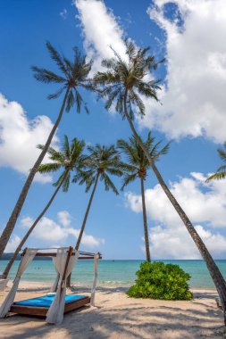 Sahildeki bir hindistan cevizi ağacının altında duran kir mavi gökyüzünde, Ko Kood, Tayland 'da güzel bulutları olan bir okyanus. Tatil ve rahatlama kavramı.