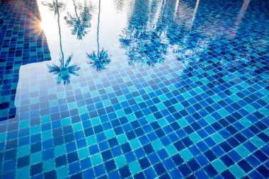 Sabahları mavi havuzun berrak suları hindistan cevizi ağaçları ve sarı güneş ışığı tarafından yansıtılır. Rahatlatıcı günler ve parlak renklerde mutlu tatiller kavramı..