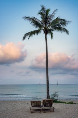 Sahilin yanında bir hindistan cevizi ağacı vanilyalı gökyüzü ve şafak vakti iki plaj sandalyesiyle denizde yüzen bir tekne var. Yalnızlığın kavramsal görüntüsü