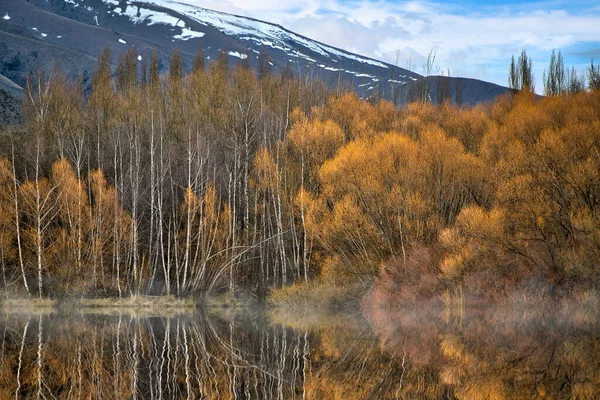 Les Podzim Změní Zlatožlutý Odraz Vodě Mlhavé Ráno Krásné Používá — Stock fotografie