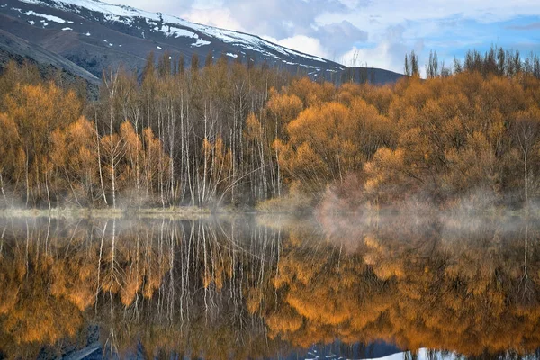 Les Podzim Změní Zlatožlutý Odraz Vodě Mlhavé Ráno Krásné Používá — Stock fotografie