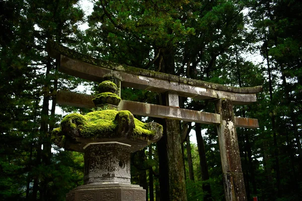 日本の石灯籠は緑の苔で覆われ 古く幻想的な雰囲気を醸し出しています 背景は日光の寺院で日陰の森の鳥居と木です — ストック写真