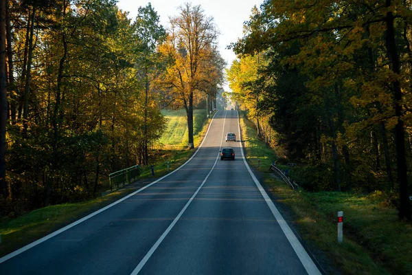 Travel with beautiful driving routes in Europe, asphalt roads and cars, with big trees changing color in autumn, rural views in the morning. The atmosphere is fresh and clear.