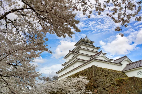 福島県会津若松市の鶴ヶ城や若松城 春の日本非常に美しい青空と満開の桜 — ストック写真