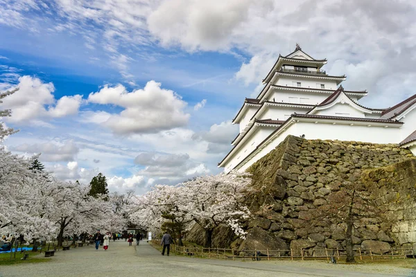 福島県 2018年4月15日 会津若松市の鶴ヶ城や若松城で満開の桜を見に歩く観光客 福島県では — ストック写真