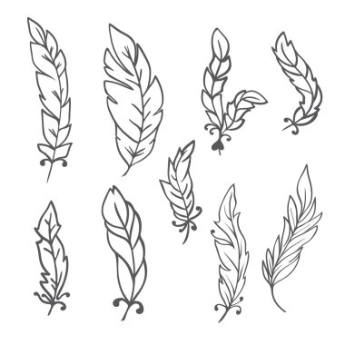 Feather set doodle
