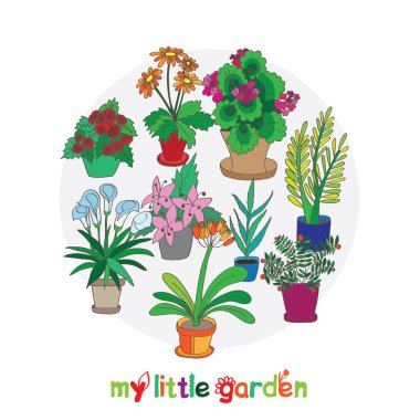 Card of indoor plants