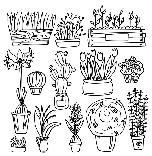 Set van kamerplanten — Stockvector