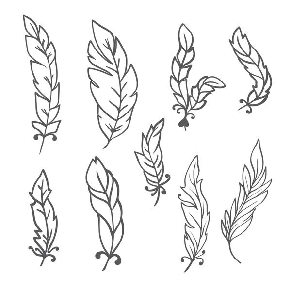 Feather set doodle — Stockvector
