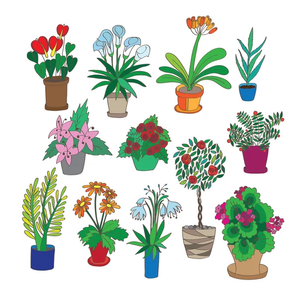套室内植物 — 图库矢量图片