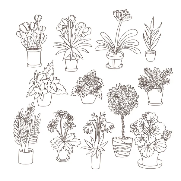 Set van kamerplanten — Stockvector