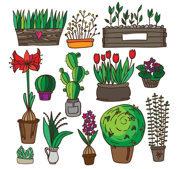 Conjunto de plantas de interior —  Vetores de Stock