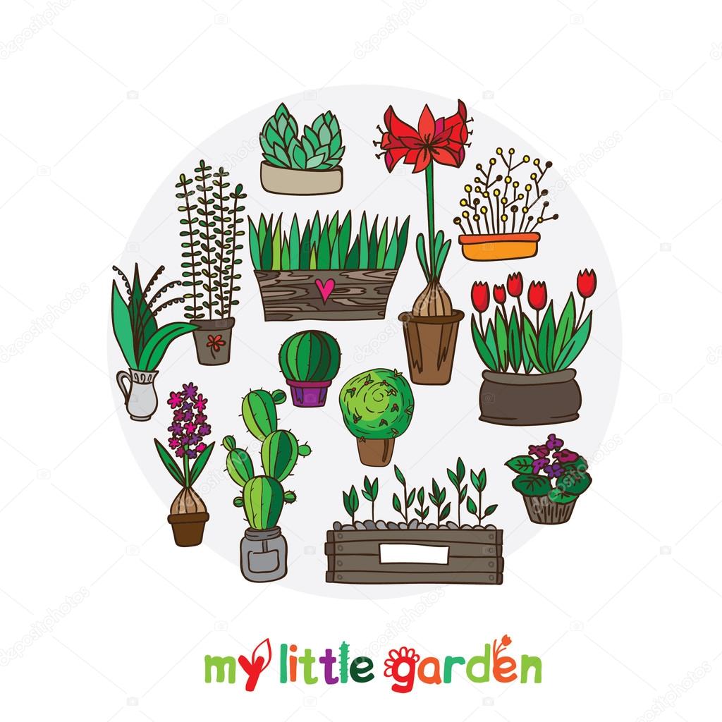 Card of indoor plants