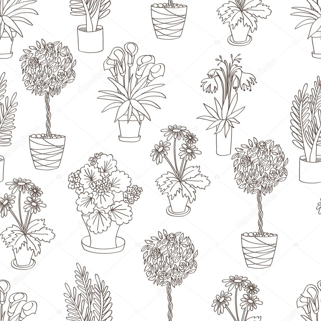 pattern of indoor plants