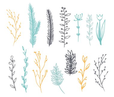 dekorasyon için dallar kümesi