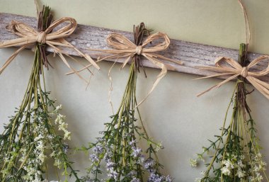 Ahşap arka planda ipte sallanan çeşitli parlak kurumuş çiçek demetleri, kurumuş çiçekleri ev dekorasyonu için modern hale getiriyor.