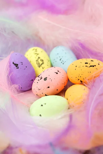 Colorful Easter Eggs with pastel colored feathers in the background,, Easter,Spring,Religion concept for Greeting card or Background design. soft bright colors — Stock fotografie