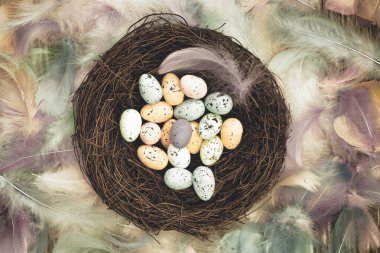 Colorful Easter eggs in bird nest surrounded with pastel colored feathers and wooden cubes with the text Happy Easter top view, modern background design, Easter holliday, Spring, concept