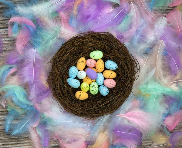 Colorful Easter eggs in bird nest surrounded with pastel colored feathers and wooden cubes with the text Happy Easter top view, modern background design, Easter holliday, Spring, concept — Fotografia de Stock