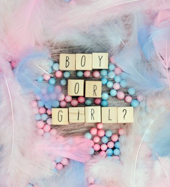 Erkek ya da kız pastel renkli tüylerle çevrili mesajlar, cinsiyet, parti konseptini ortaya çıkarıyor. Bebek duyurusu. Düz konum, metin alanı. arkaplan dokusu tebrik kartı