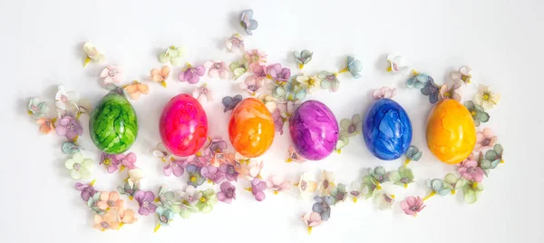 Row of Colorful painted Easter Eggs isolated on white background surrounded with flowers top view background, Happy Easter concept modern design — Stock Photo, Image