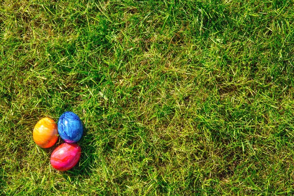 Easter eggs hidden in the grass, Colorful handmade painted Easter eggs hunt, Happy Easter Holiday concept in garden or park,