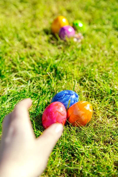 Easter eggs hidden in the grass, Colorful handmade painted Easter eggs hunt, Happy Easter Holiday concept in garden or park,