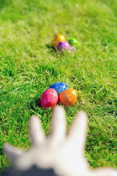 Easter eggs hidden in the grass, Colorful handmade painted Easter eggs hunt, Happy Easter Holiday concept in garden or park,