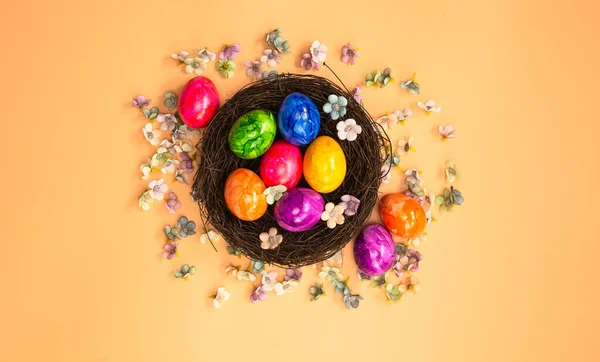 Colorido pintado Easter Egg Nest com laranja pastel colorido vista superior de fundo, Feliz Páscoa Holliday conceito fundo com espaço de cópia primavera cores brilhantes design — Fotografia de Stock