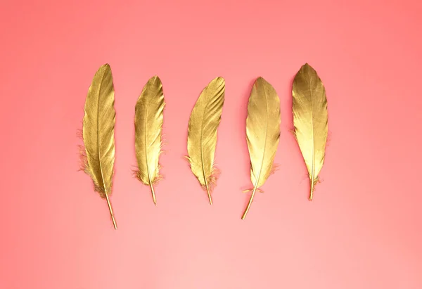 Guld glänsande fjädrar i rad på pastell rosa bakgrund, Platt låg, retro, modern, färgglada snygga koncept ovanifrån. design element tapet kopia utrymme — Stockfoto