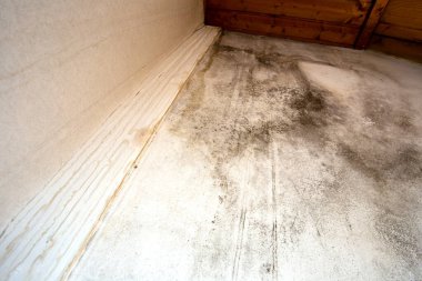 Köşedeki siyah küf, eski bina tavanı, su hasarı küf büyümesine neden olan, odada tehlikeli zehirli mantar, yenileme evi, kopyalama alanı gerekiyor.