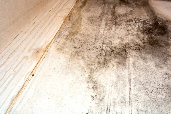 Black mold in the corner, old ceiling of building, water damage causing mold growth, dangerous toxic fungus in the room, needs renovation house, copy space