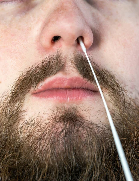 Covid-19 nasal swab test, taking nasal mucus test sample, Cotton swab from the throat and nose close-up macro portrait, Health, coronavirus,testing,business concept medical