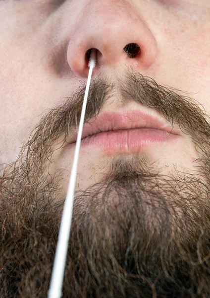 Covid-19 nasal swab test, taking nasal mucus test sample, Cotton swab from the throat and nose close-up macro portrait, Health, coronavirus,testing,business concept medical