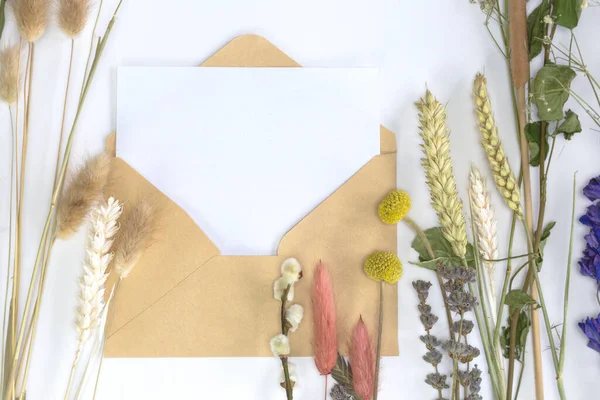 Livro branco em branco com envelope de papel artesanal e flores de primavera secas coloridas e junco, flor, flat lay, vista superior de fundo moderno, design, cartão de saudação, — Fotografia de Stock