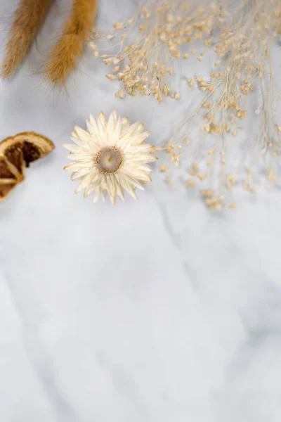 Friss Bight Tavasz Szárított Virág Keret Elszigetelt Fehér Háttérrel Másolás — Stock Fotó