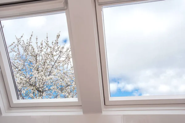 Nowoczesny otwarty świetlik, okno mansardowe przed błękitnym niebem z pięknym drzewem z białymi kwiatami, nowoczesny projekt nowego domu, detal architektoniczny — Zdjęcie stockowe